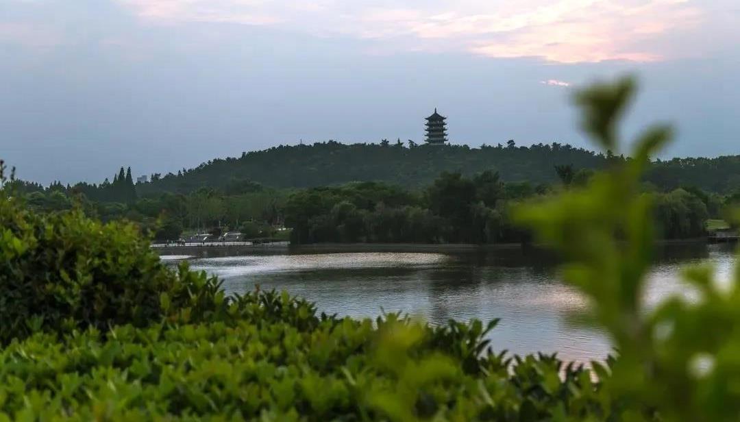 大津培训（浙皖站） | 一年之计在于春 培训学习正当时